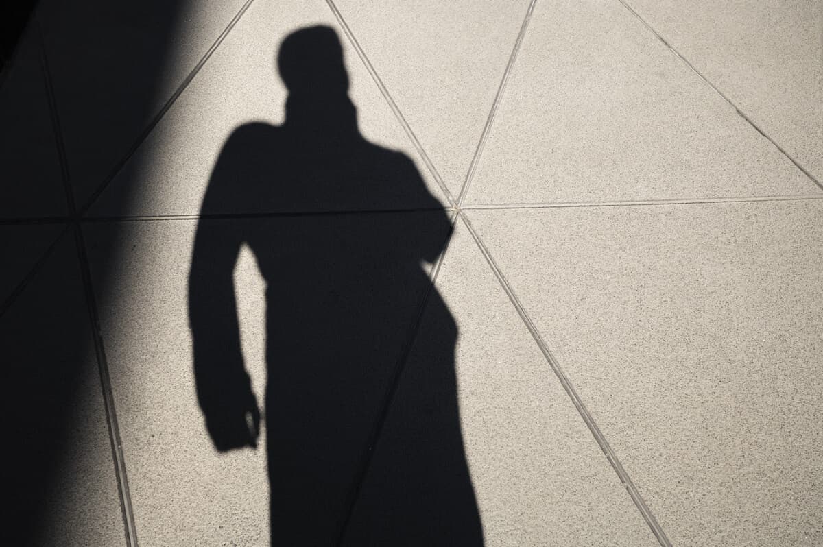 Översättningskommentar till romanen Den döende detektiven